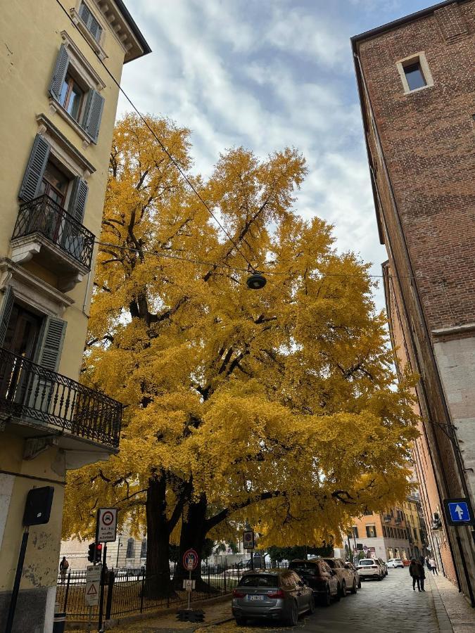 Domus Largo Pescheria Verona Exterior foto